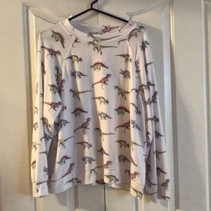 Wildfox Dino Sommers Sweatshirt medium never worn